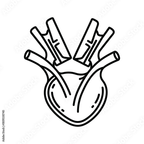 Anatomical illustration of a human heart isolated on, showcasing its chambers, valves, and major blood vessels