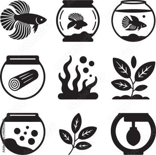 Betta fish, aquarium tank, fish bowl, aquatic plant, sea life, swimming pet, water nature