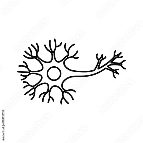 Illustration of a neuron cell body, a fundamental unit of the nervous system isolated on