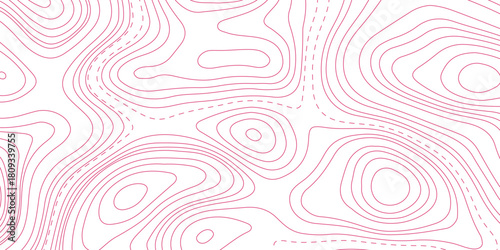 Topographic map. geographic line World map
 with elevation assignments. contour maps. Vector illustration.
