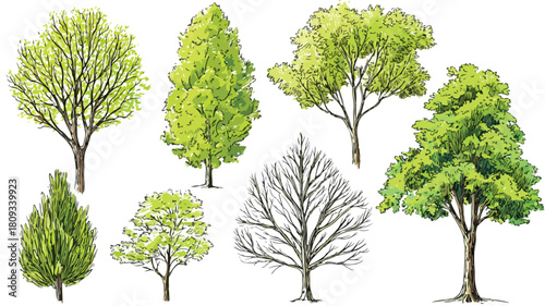 Lush Green Trees and Branches Vector Art for Nature Backgrounds