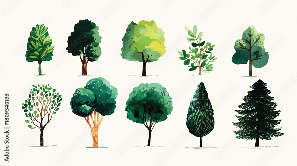 Fototapeta premium Diverse Tree Collection with Green Leaves - Nature's Beauty Captured in One Image