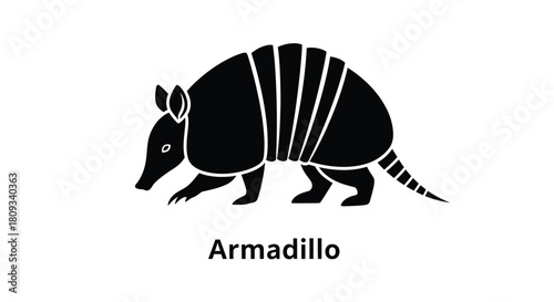 A simple black and white illustration depicts a side view of an armadillo