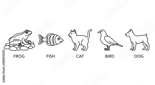 A simple line drawing depicts a frog fish cat bird and dog