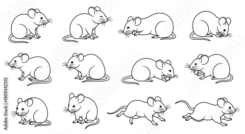 A collection of nine detailed black and white mouse illustrations