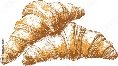 Delicious Croissant Drawing with Beautifully Arranged Croissants Vector Illustration