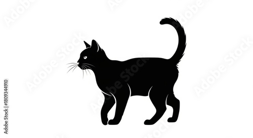 black cat silhouette