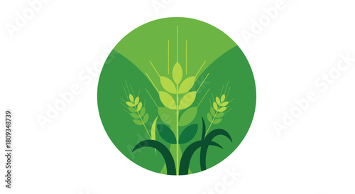 A stylized green circular logo featuring wheat stalks and leaves, representing agriculture and growth.