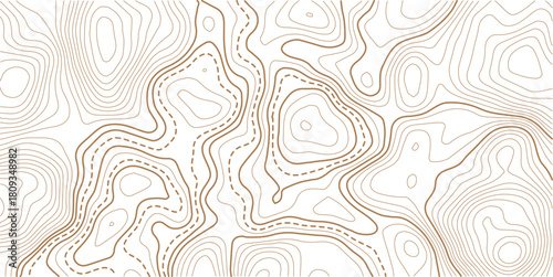 Topographic map pattern background vector. Abstract line contour mountain terrain map background. The concept of a conditional geography scheme and contour line map image. 