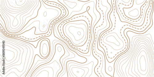 Topographic gold luxury map background. Geographic abstract pattern.Modern design with White background with topographic wavy pattern design.paper texture Imitation of a geographical map shades
