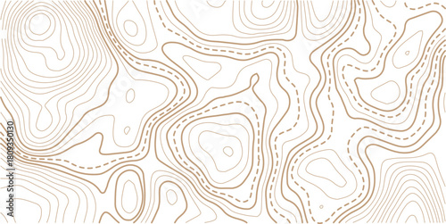 Topographic map pattern background vector. Abstract line contour mountain terrain map background. The concept of a conditional geography scheme and contour line map image. 