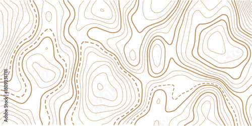 Topographic map pattern background vector. Abstract line contour mountain terrain map background. 