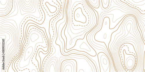 Topographic map pattern background vector. Abstract line contour mountain terrain map background. The concept of a conditional geography scheme and contour line map image. 