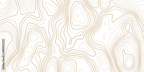Topographic gold luxury map background. Geographic abstract pattern. The topo contour or wallpaper.Mountain trail terrain or path. 
