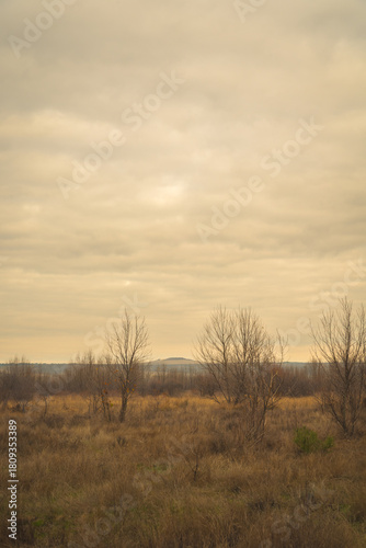 Wintery landscape in Castilla Spain