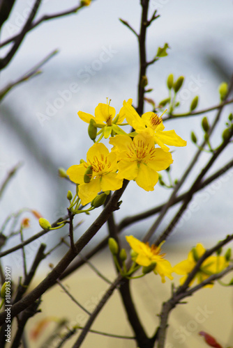 A tall pagoda tower with intricate traditional architecture rising above green foliage under a clear blue sky. A peaceful scene highlighting Asian cultural and religious design.