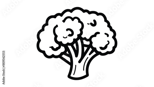 Detailed Broccoli Vitamin Food Vector Illustration Line Icon