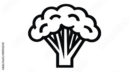 Broccoli Detailed Line Icon for Vitamin Food Vector Illustration