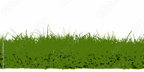 Vector illustration of green grass on white background for design elements