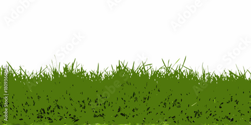 Green grass vector illustration on white background for design element