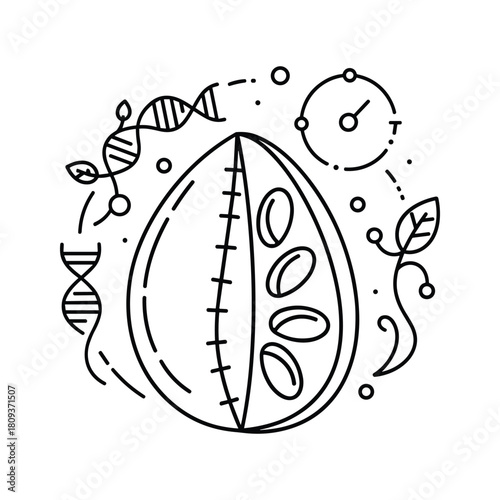 Genetically modified organism food isolated on