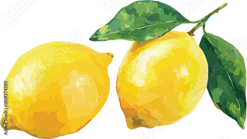 Vibrant Lemon Vector Illustration with Clean Outline on White Background