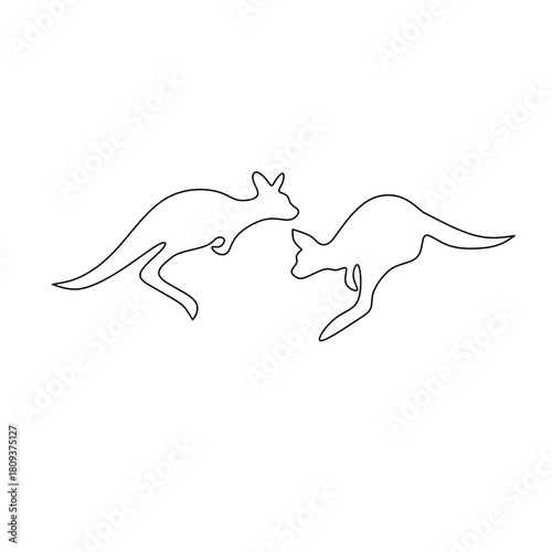 kangaroo animal with beautiful lines