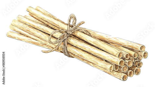 Straw Holder with Straws and Vector - Professional Image Usage