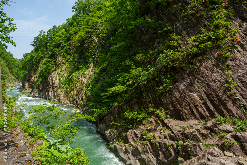 Obraz premium 250521新潟県十日町市清津峡