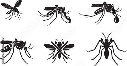 Six Black Mosquito Silhouettes on White Background