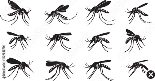 Twelve Mosquito Silhouettes in Various Poses insect