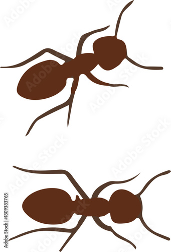 Two Brown Ant Silhouettes Top and Bottom View insect