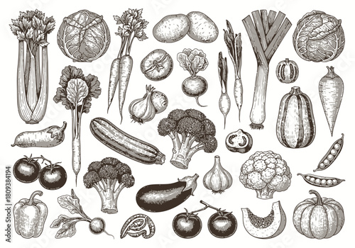 Vintage Vegetable Engraving Set: Hand-Drawn Farmers Market Produce Illustration