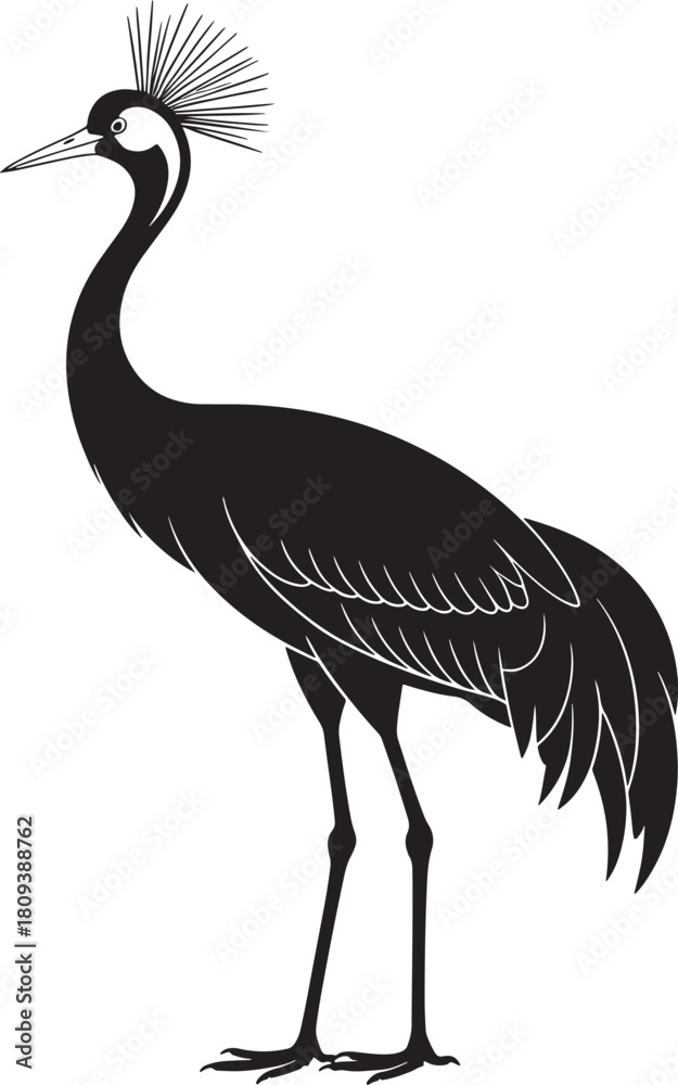 Obraz premium Elegant silhouette of a crowned crane bird on white background