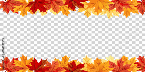 Autumn maple leaves frame with transparent background for fall season designs