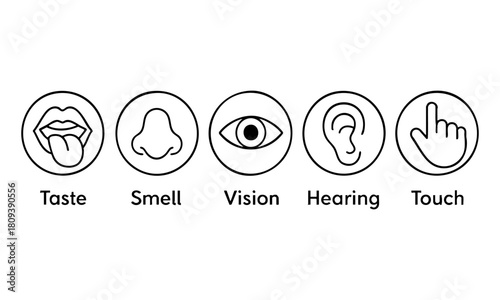 Minimal senses icon collection  vector illustration, easily editable.