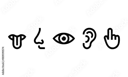 Outline vector icons of five senses vector illustration, easily editable.