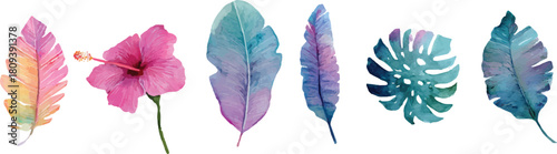 set of colorful feathers