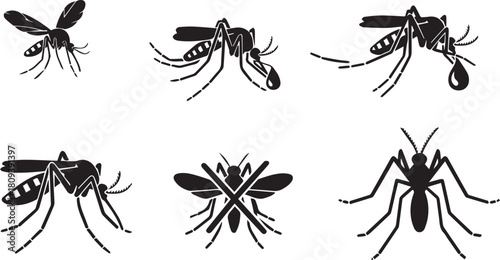 Six Black Mosquito Silhouettes in Various Poses insect