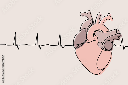 Anatomical heart illustration with electrocardiogram line