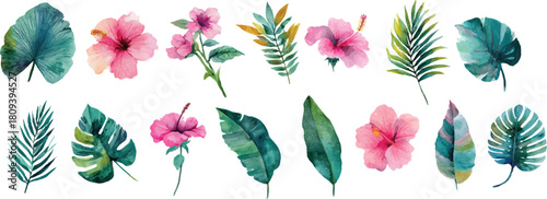 vector set of colorful feathers