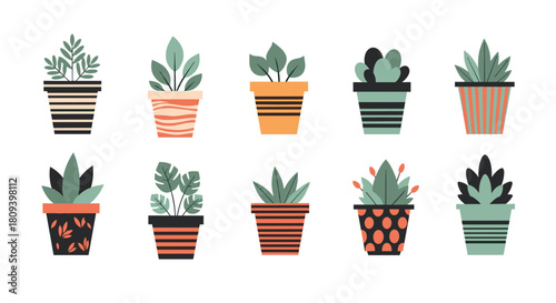 Collection of ten different houseplants in colorful and patterned pots showcasing various types of indoor green plants.