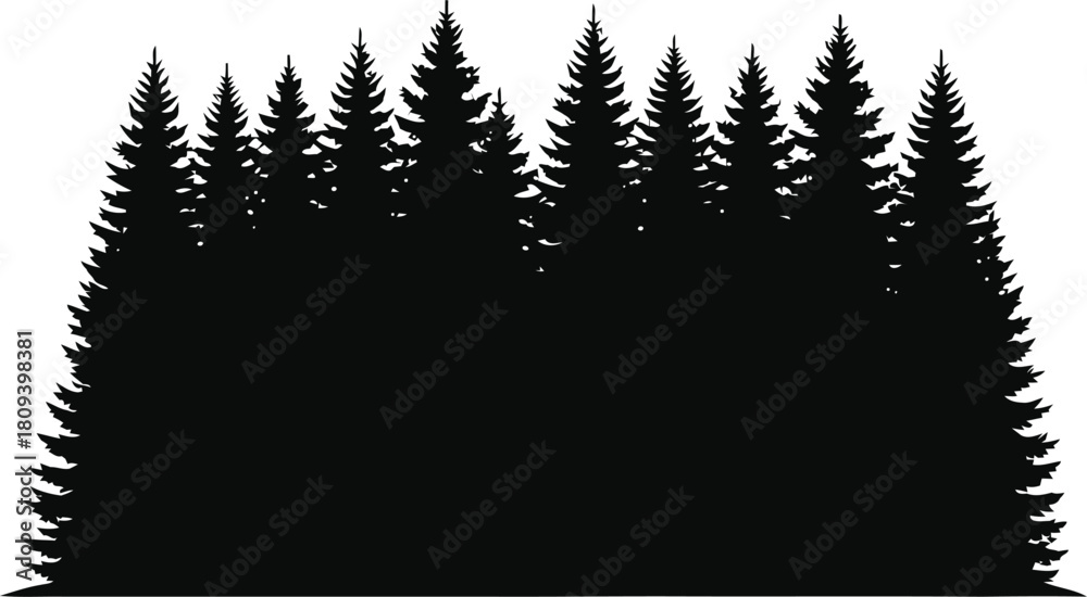 Obraz premium Dense pine tree forest silhouette against a white background