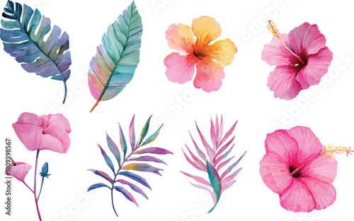 collection of flowers