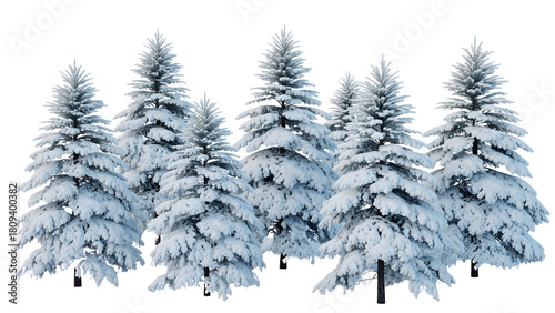 Snowy pine trees isolated on transparent background isolated on transparent background