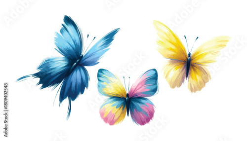 set of butterfly colour vector illustration, solid white background