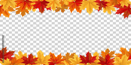 Colorful autumn maple leaves frame on transparent background