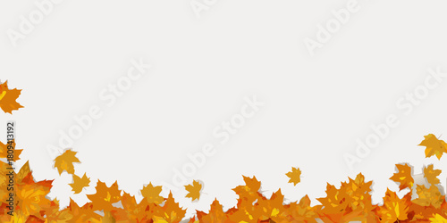 Autumnal maple leaves border with copy space for seasonal greetings