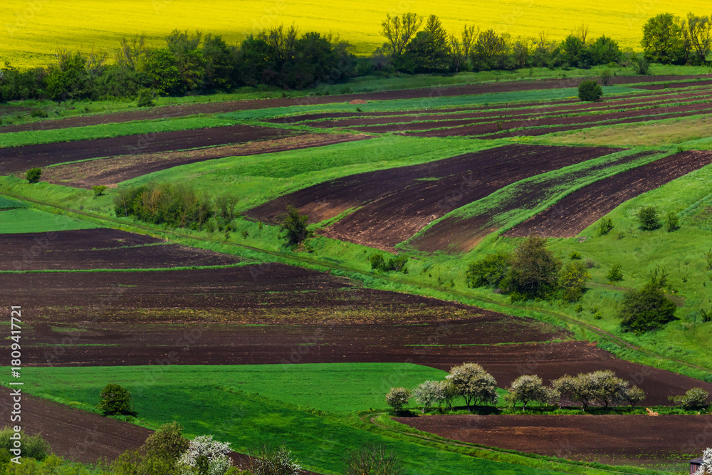 Naklejka premium Vibrant agricultural landscape showcasing lush green fields and rich brown soil under a bright yellow horizon during springtime