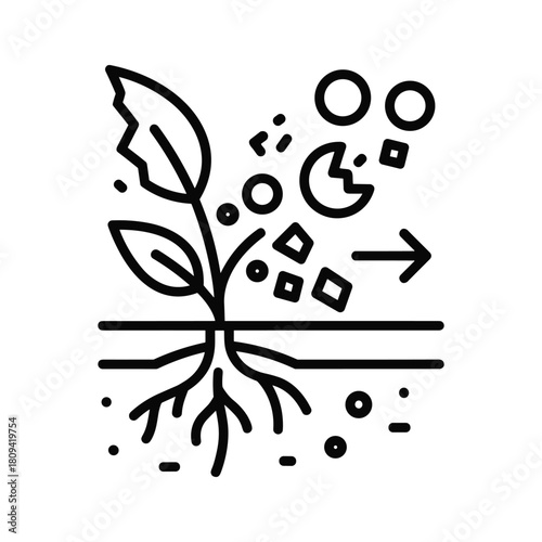 Plant growing with nutrients isolated on